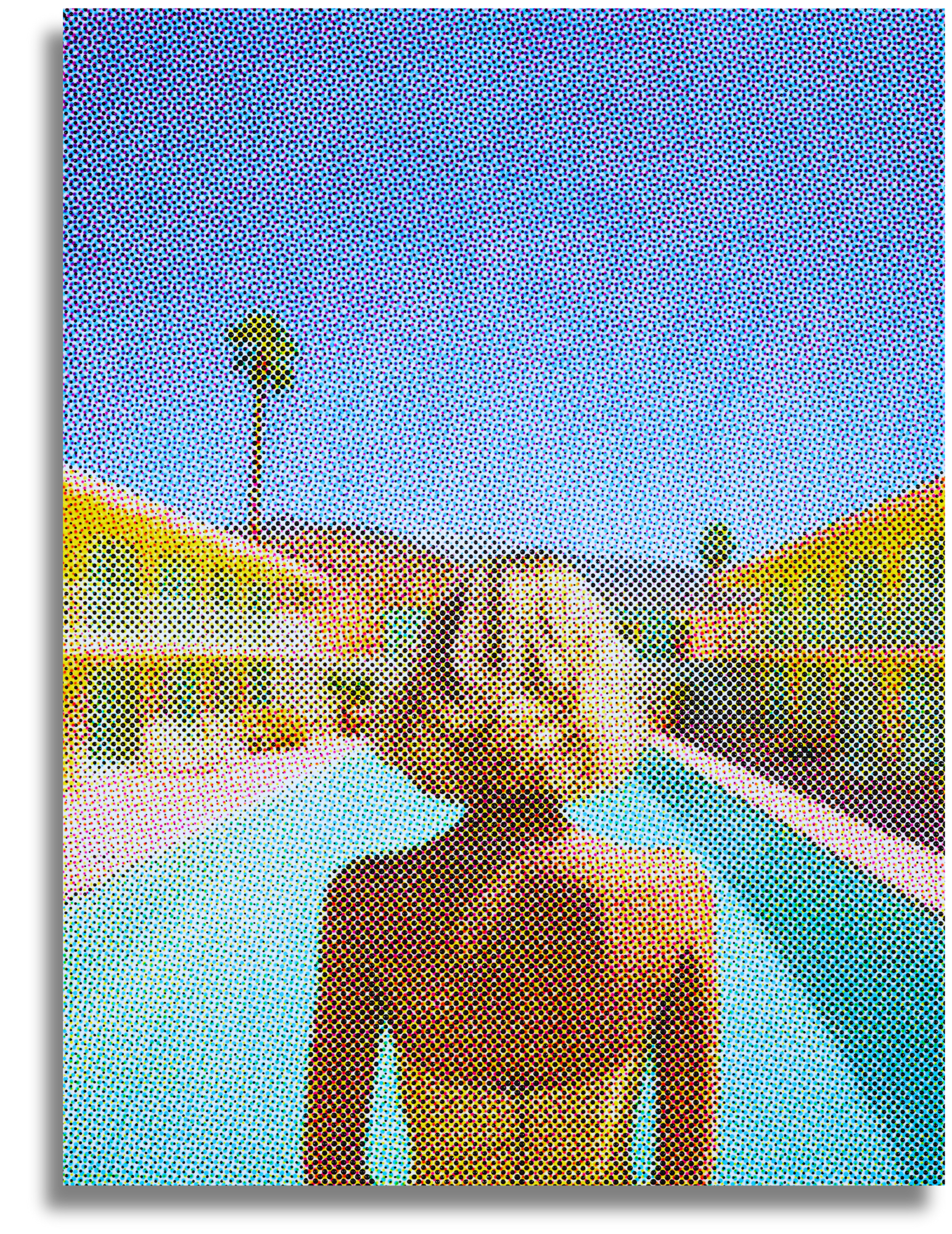 Palm Springs Dreams - Limited Edition