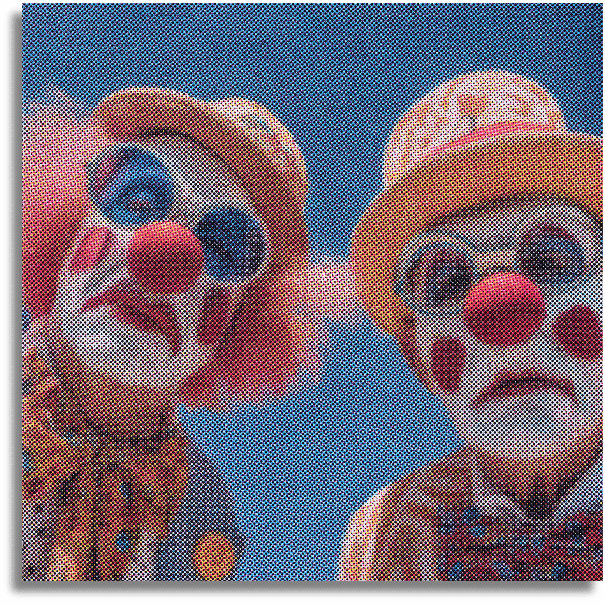 THE CLOWNS