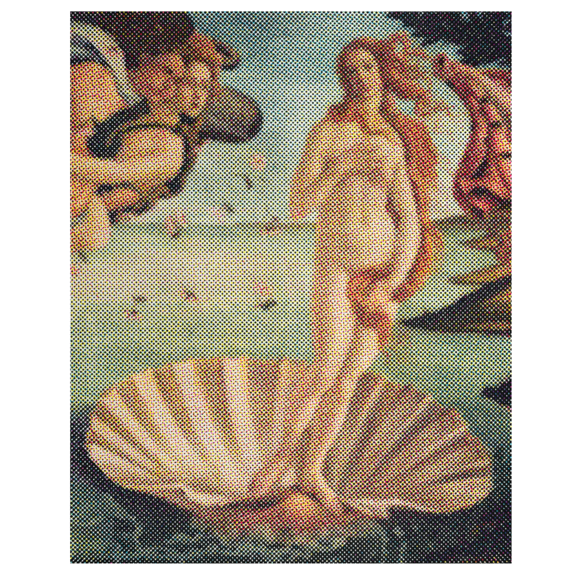 Venus CMYK