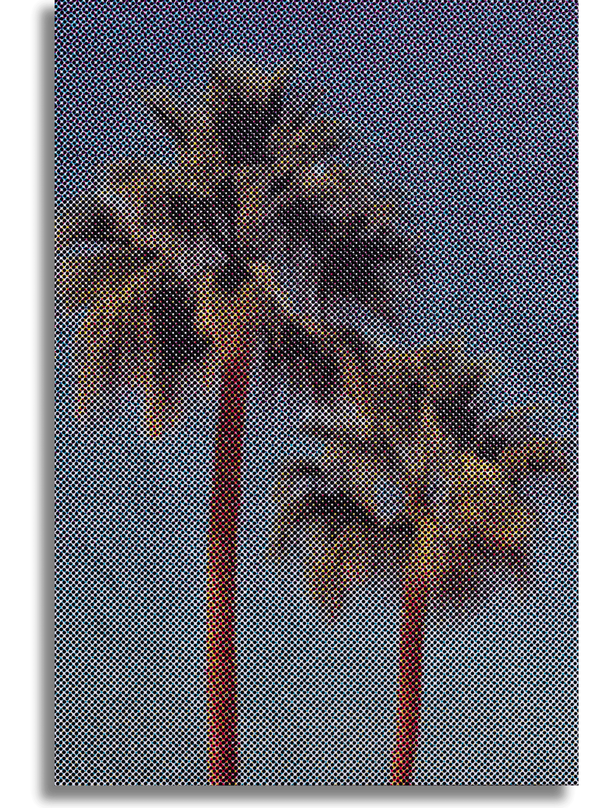 PALM TREES