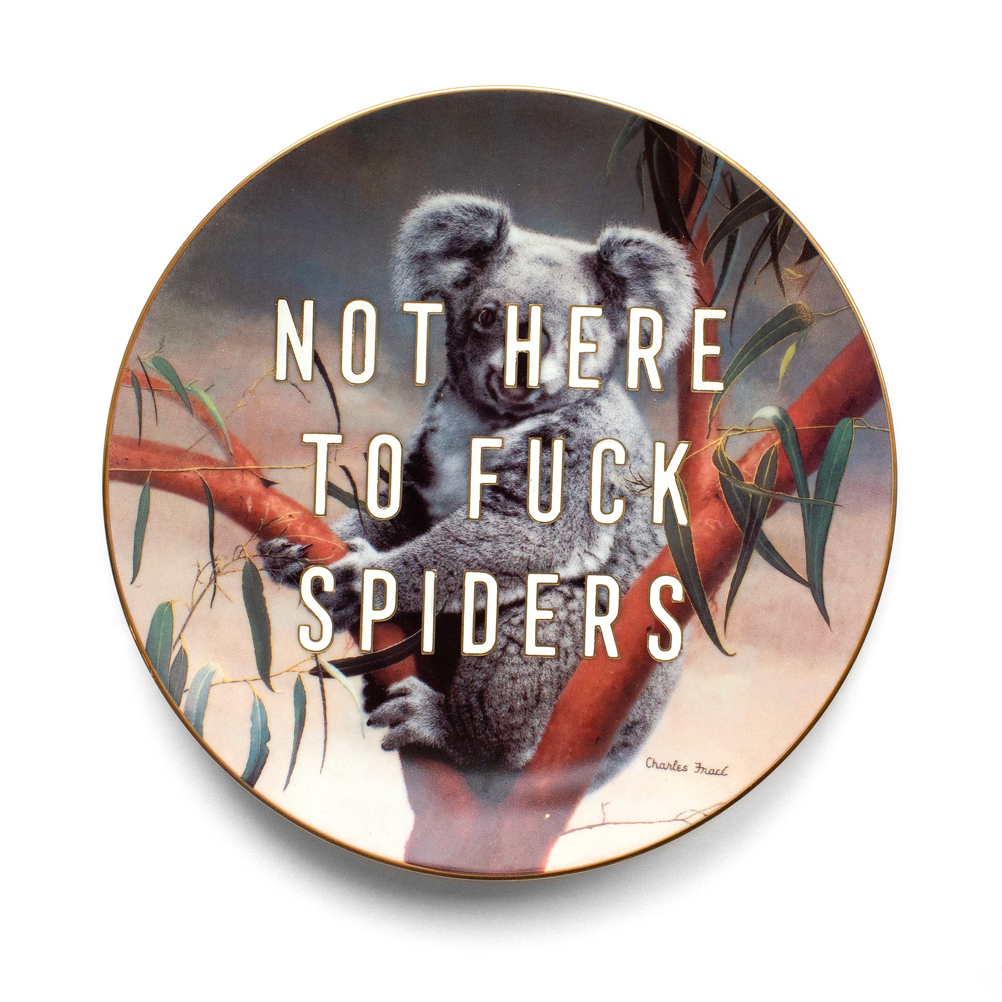 Not Here To Fuck Spiders