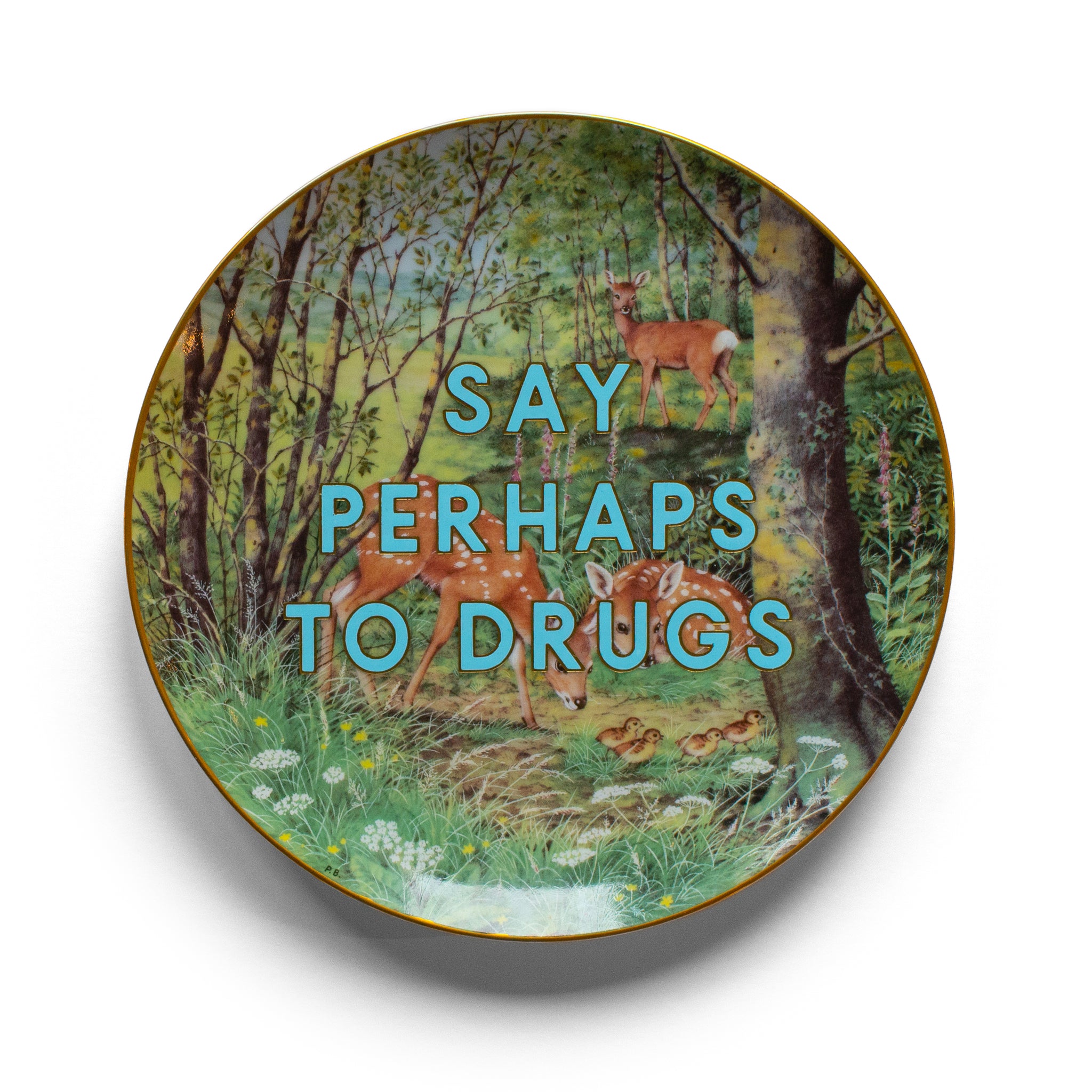 Say Perhaps To Drugs